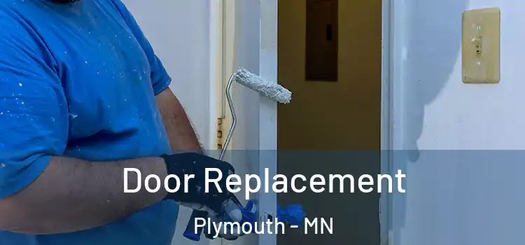  Door Replacement Plymouth - MN