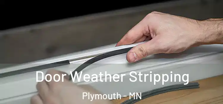  Door Weather Stripping Plymouth - MN