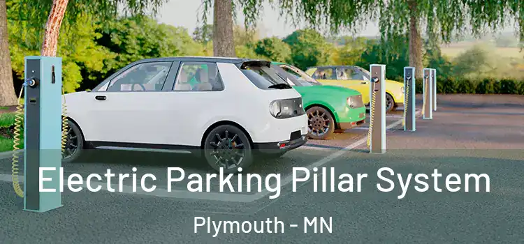  Electric Parking Pillar System Plymouth - MN