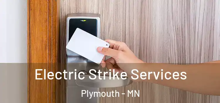 Electric Strike Services Plymouth - MN