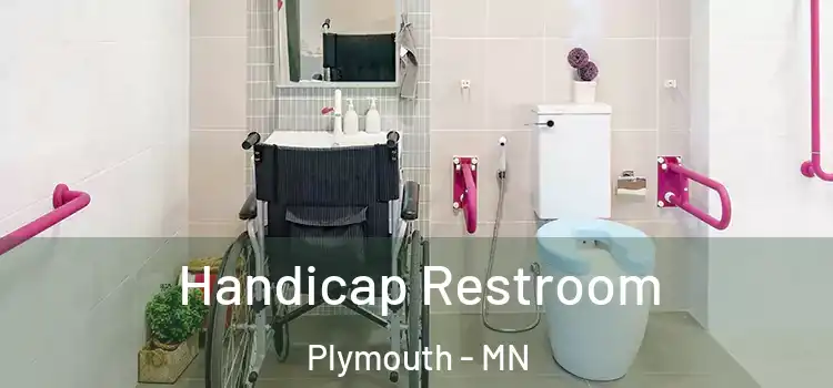  Handicap Restroom Plymouth - MN
