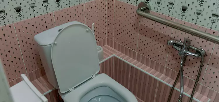 Meeting Diverse Needs With Accessible Restroom Solutions in Plymouth, MN