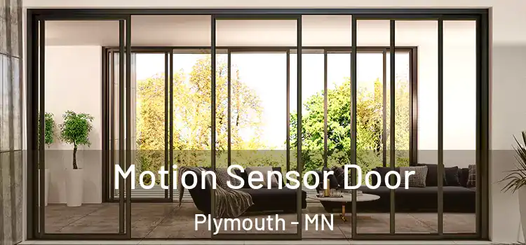  Motion Sensor Door Plymouth - MN